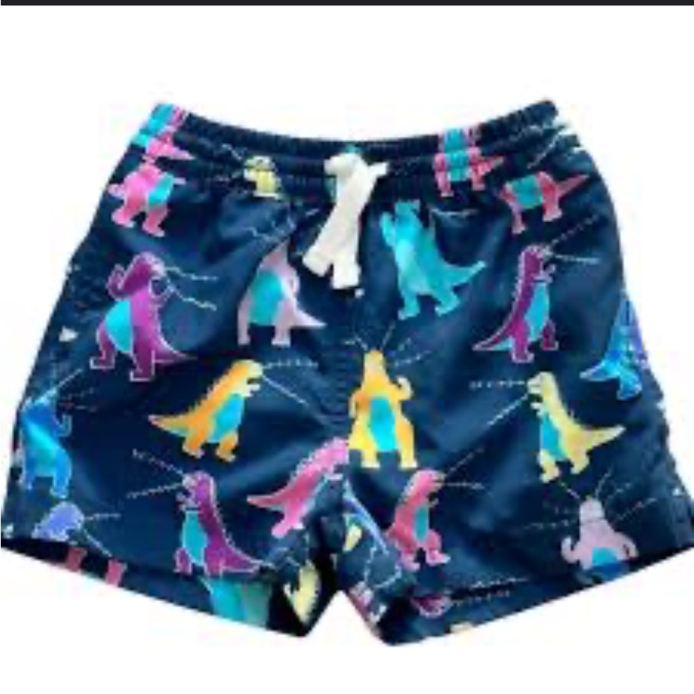 Boys Chubbies Dinosaur Swim Trunks 2T